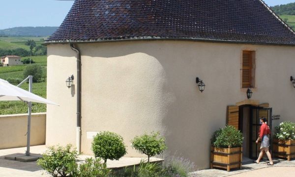 Dégustation de 4 vins à la Chapelle des Thorins-photo