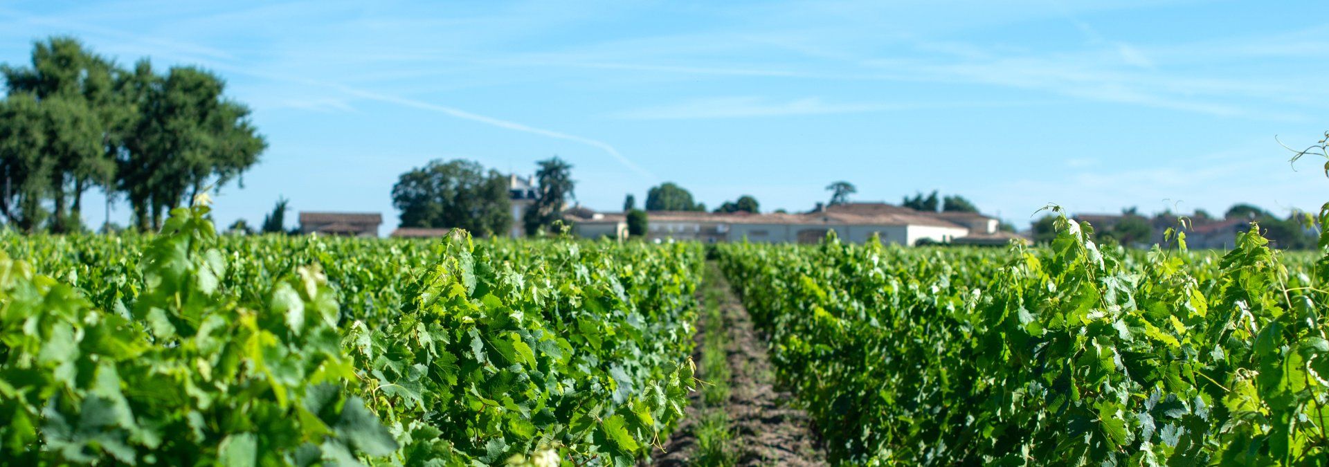 Château Ferrand - Pomerol - Rue des Vignerons