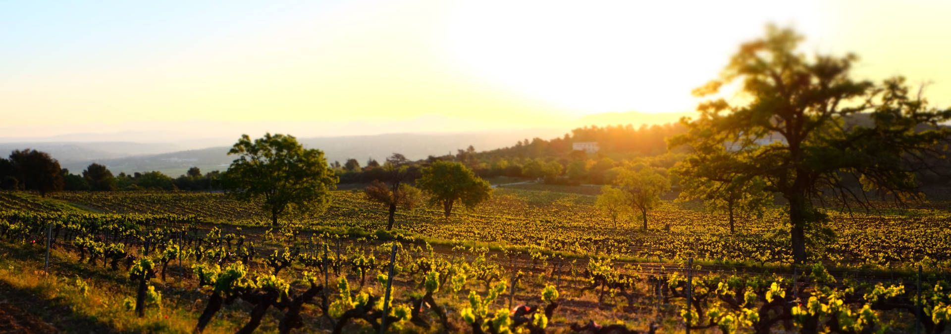 Domaine du Deffends - Rue des Vignerons