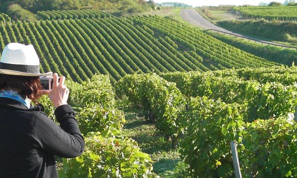 Journée privative dans la Loire, depuis Paris-photo
