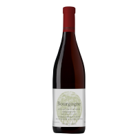 Domaine Michel Voarick Bourgogne 2020 Rouge