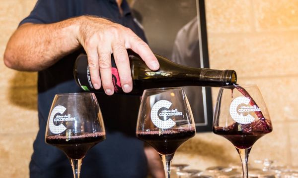 Rhône tasting-photo
