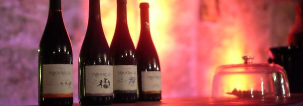 Découverte de 4 vins du domaine-photo