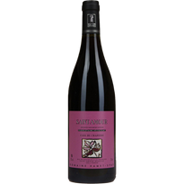 Domaine Hamet-Spay Saint-Amour Clos du Chapitre 2022 Red wine
