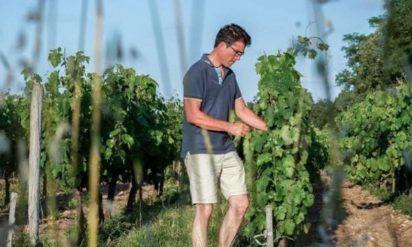 Les secrets de la vigne et du vin-photo