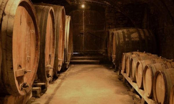 Visit of our cellar-photo