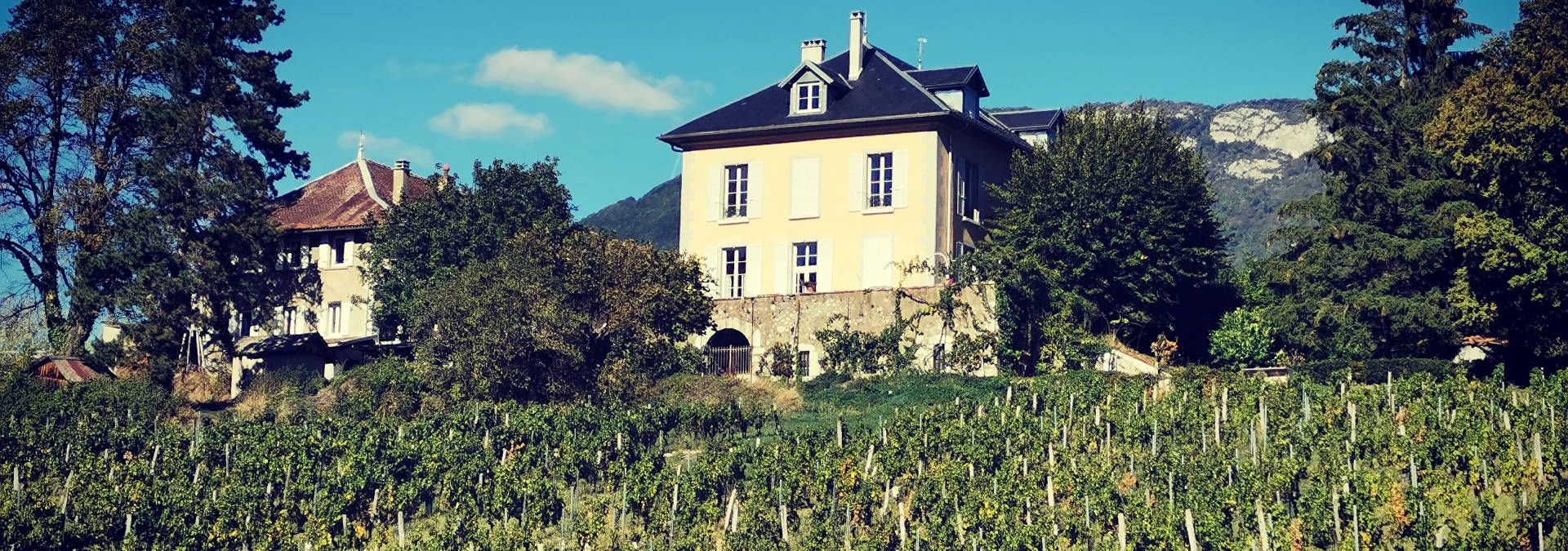 Domaine des Granges Longes - Rue des Vignerons