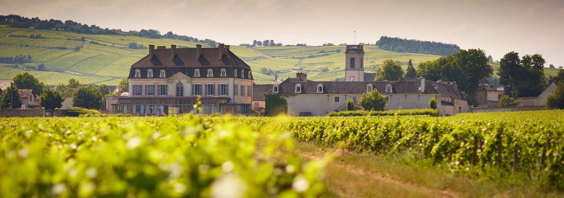 Château de Pommard - Rue des Vignerons