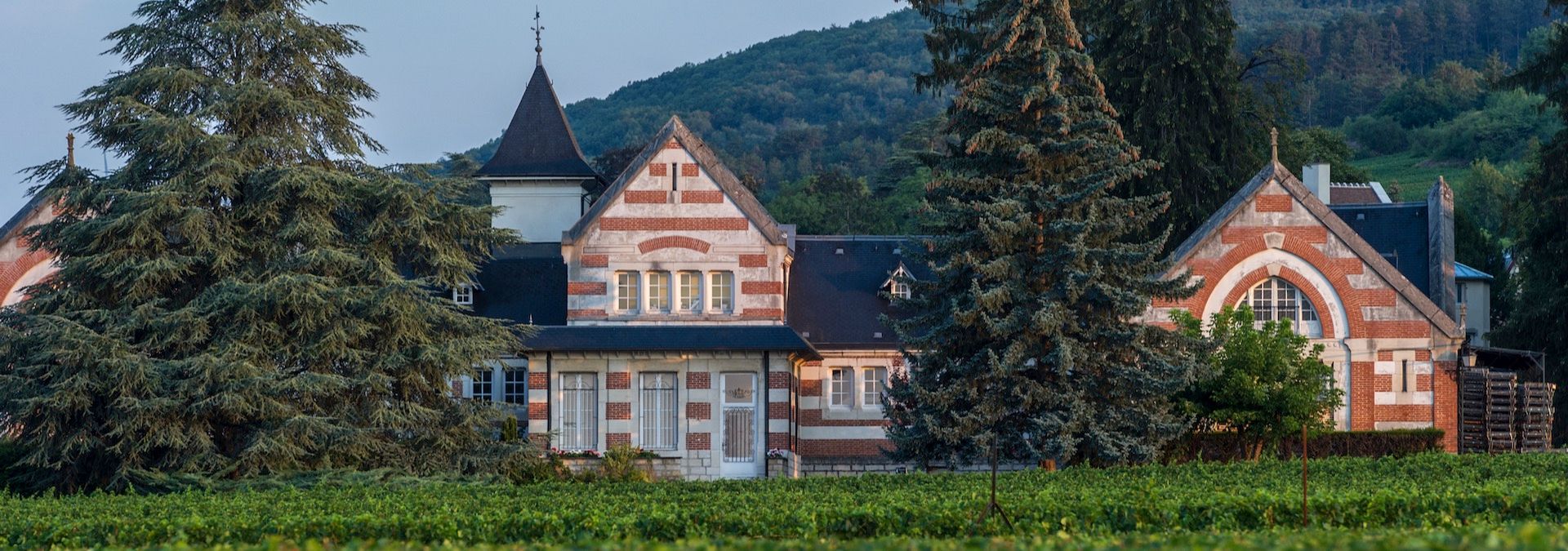 Domaine Henri de Villamont - Savigny Les Beaune