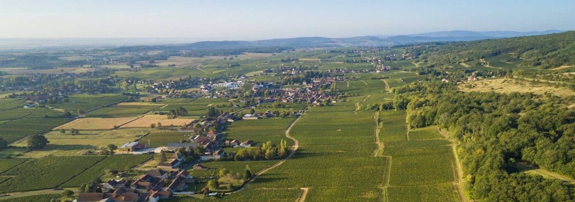 La Maison Vérizet - Cave de Viré - Rue des Vignerons