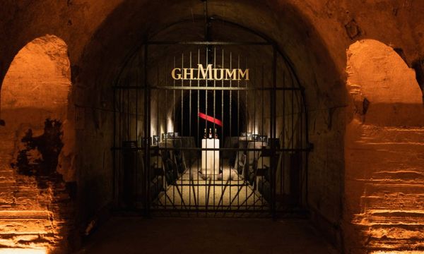 Full Day Mumm Wine Tour, family growers and traditional lunch, from Reims-photo