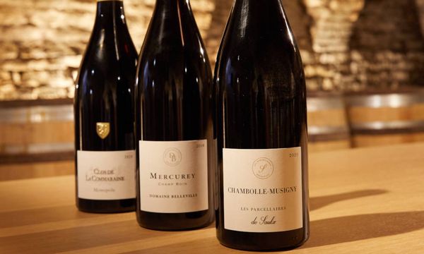 Introduction to wine tasting with our sommelier-photo