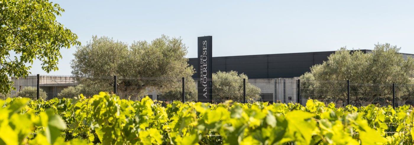 Domaine les Amoureuses - Rue des Vignerons