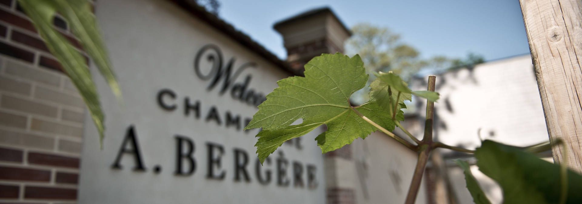 Champagne A. Bergère - Rue des Vignerons