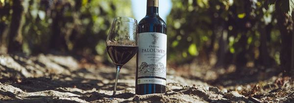 Vins & Sophrologie/Printemps des Châteaux 2026-photo