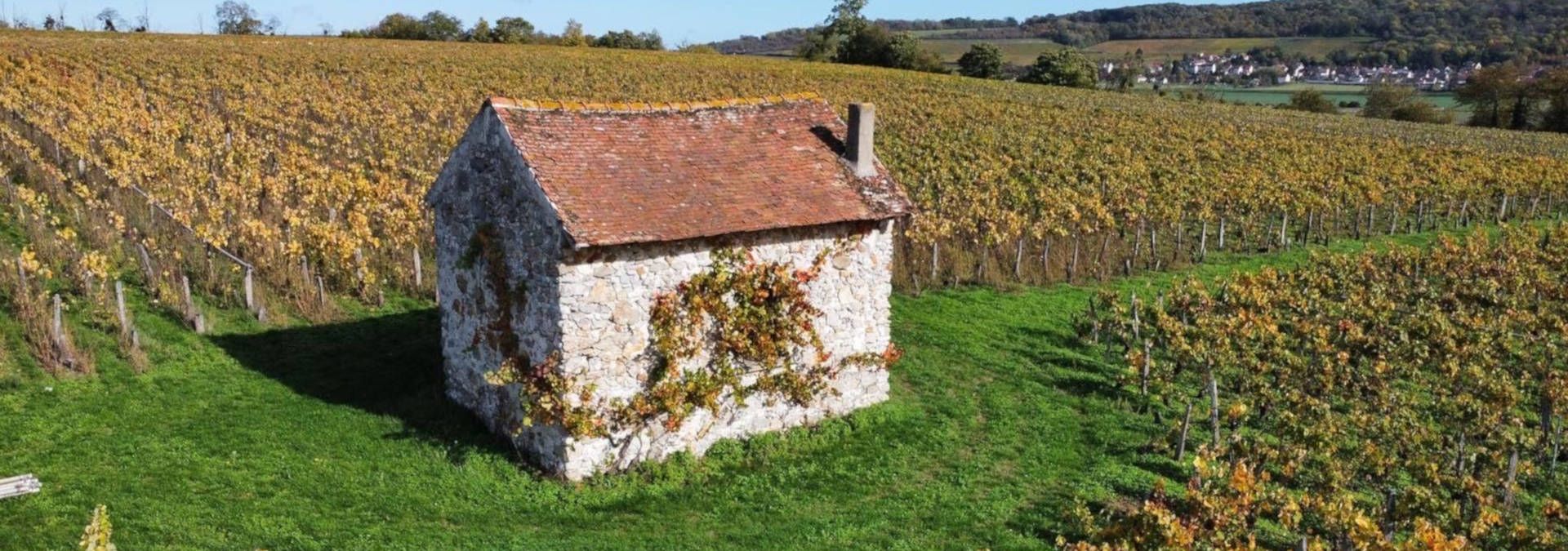 Champagne Alain Bedel - Rue des Vignerons