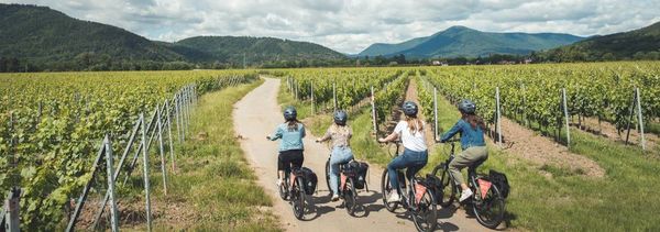 Views from the bioclimatic wine cellar-photo