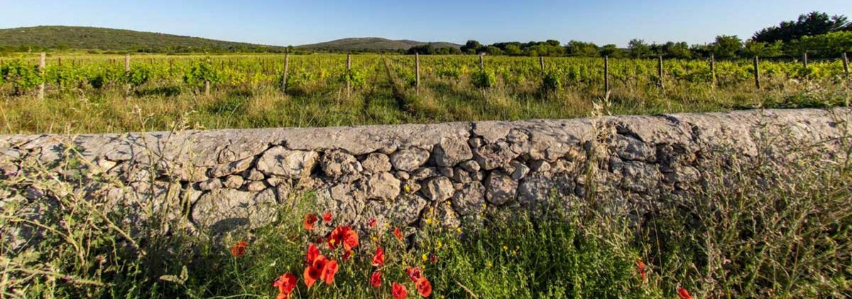 Clos Sorian - Rue des Vignerons