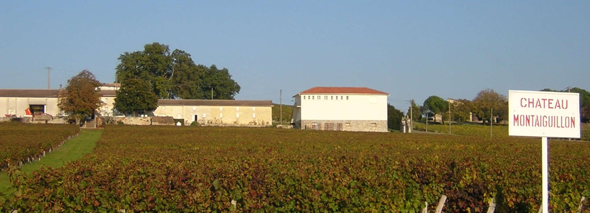 Château Montaiguillon - Rue des Vignerons