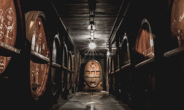 Visite de cave immersive familiale -Noël en Alsace-photo