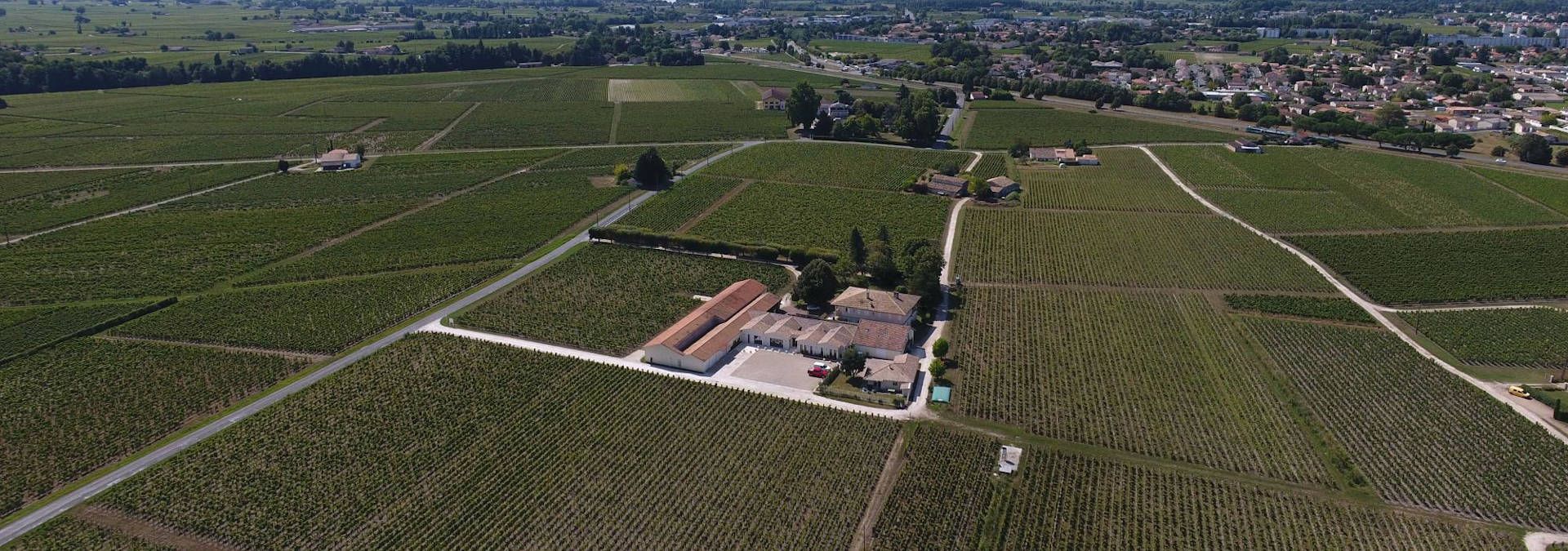 Château Ferrand - Pomerol - Rue des Vignerons