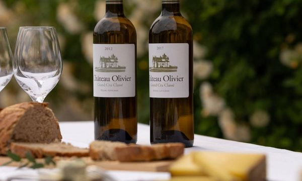 ⭐️ Château Olivier Tour, Léognan ➡️ Reviews, Price - 2024