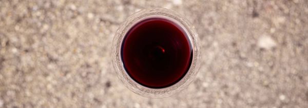 Tasting of our wines-photo