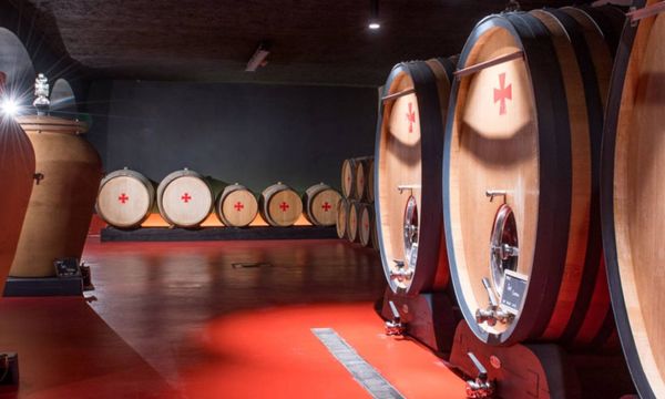Weinentdeckung und Besuch des Weinkellers-photo