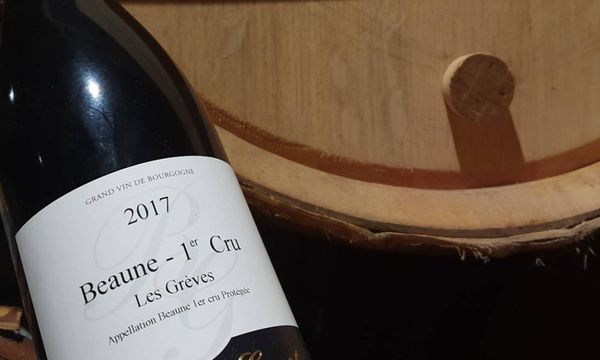 Découverte des vins-photo