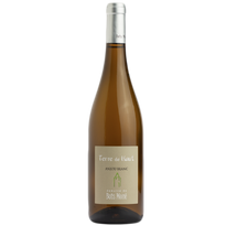 Domaine de Bois Mozé Terre de Haut 2021 Blanco