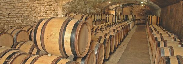 10 vinos, 10 emociones en el corazón de las bodegas-photo
