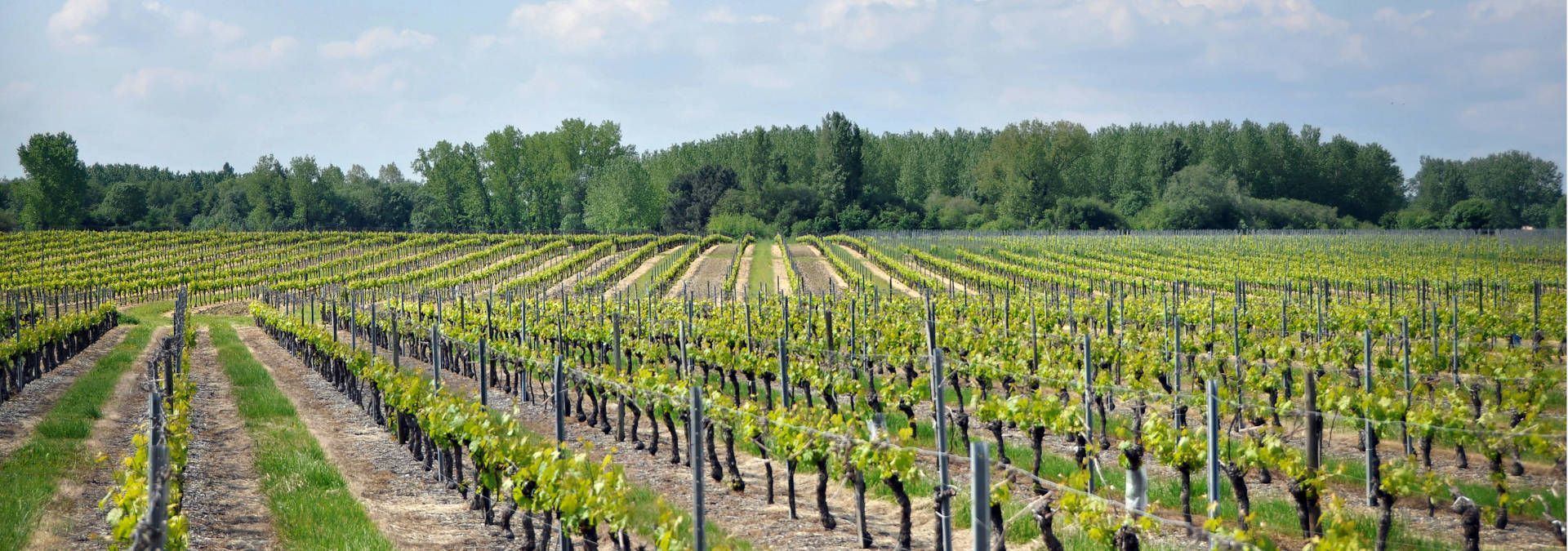 Château Dubraud - Rue des Vignerons