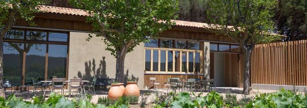 La collezione Vineyard-photo