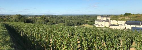 Château de Parnay photo
