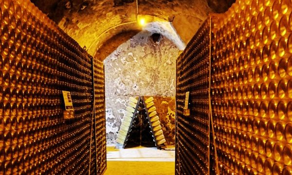 Discovering the Didier Herbert winery-photo