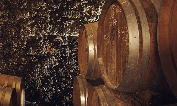 The secrets of Haut-Armagnac-photo