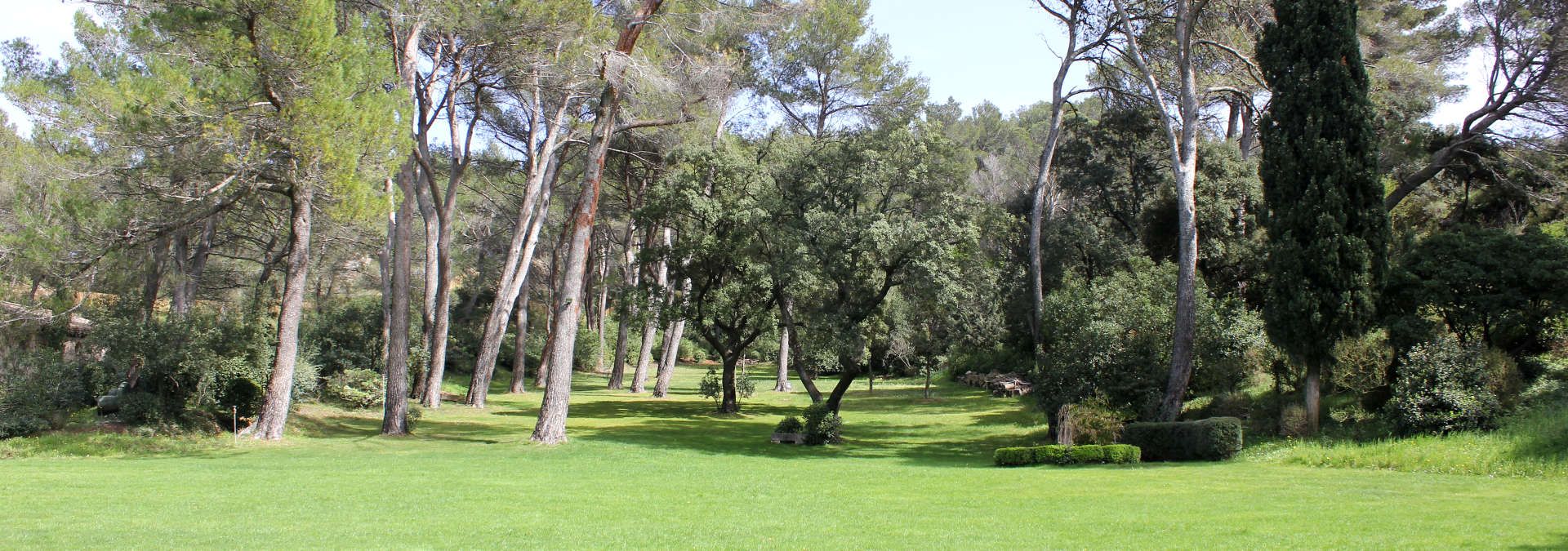 Domaine Dalmeran - Rue des Vignerons