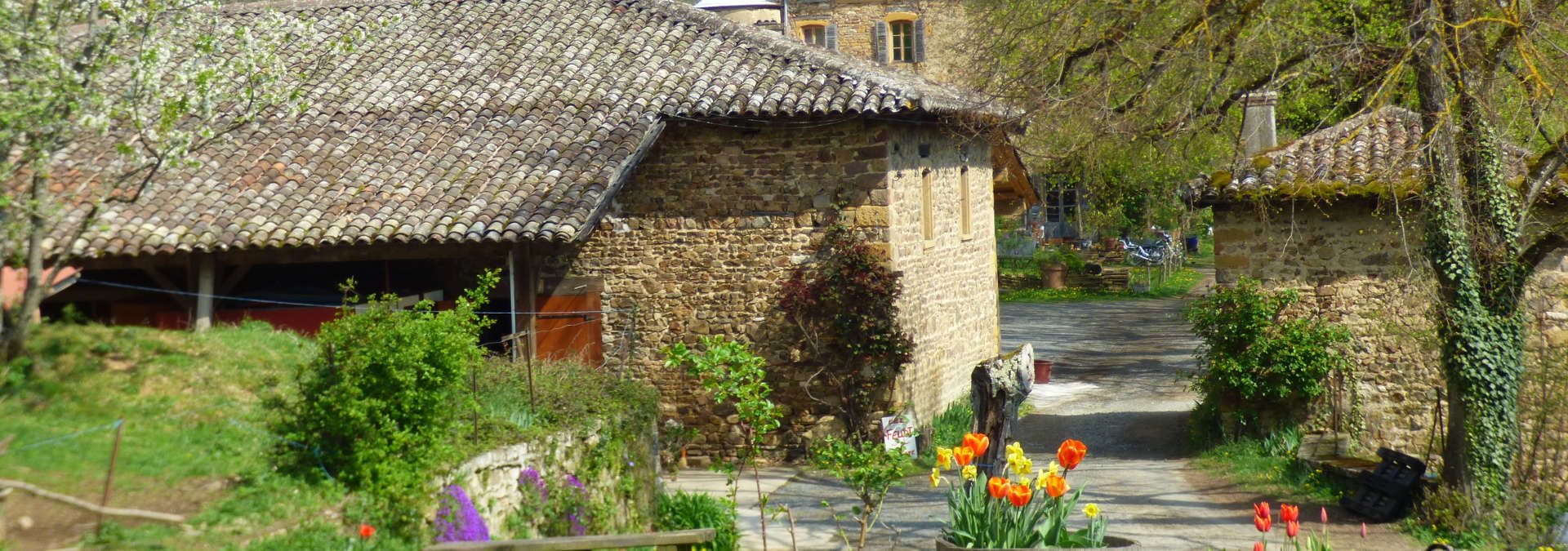 Domaine Emmanuel Fellot - Rue des Vignerons