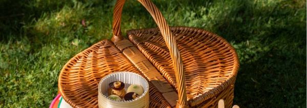 Picnic chic en los viñedos-photo