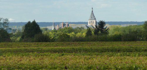 Domaine Poupat et Fils photo