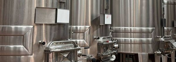 Visita a la bodega y a la historia de la denominación de origen-photo