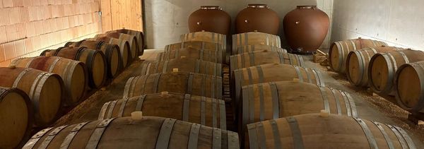 Découvrez nos vinifications et nos 4 vins-photo