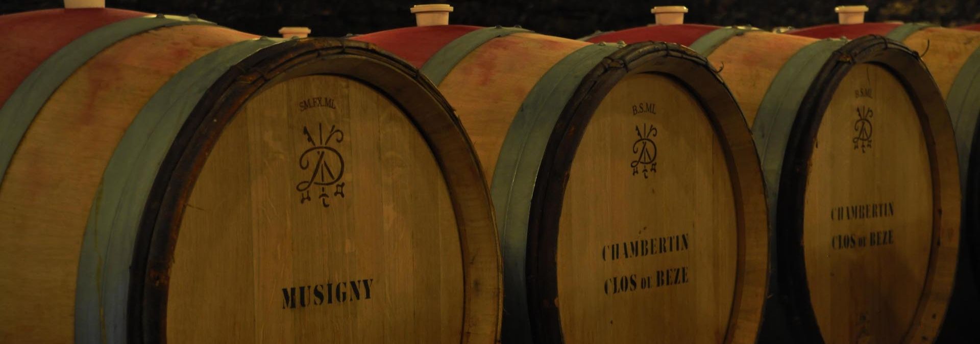Authentica Tours - Rue des Vignerons