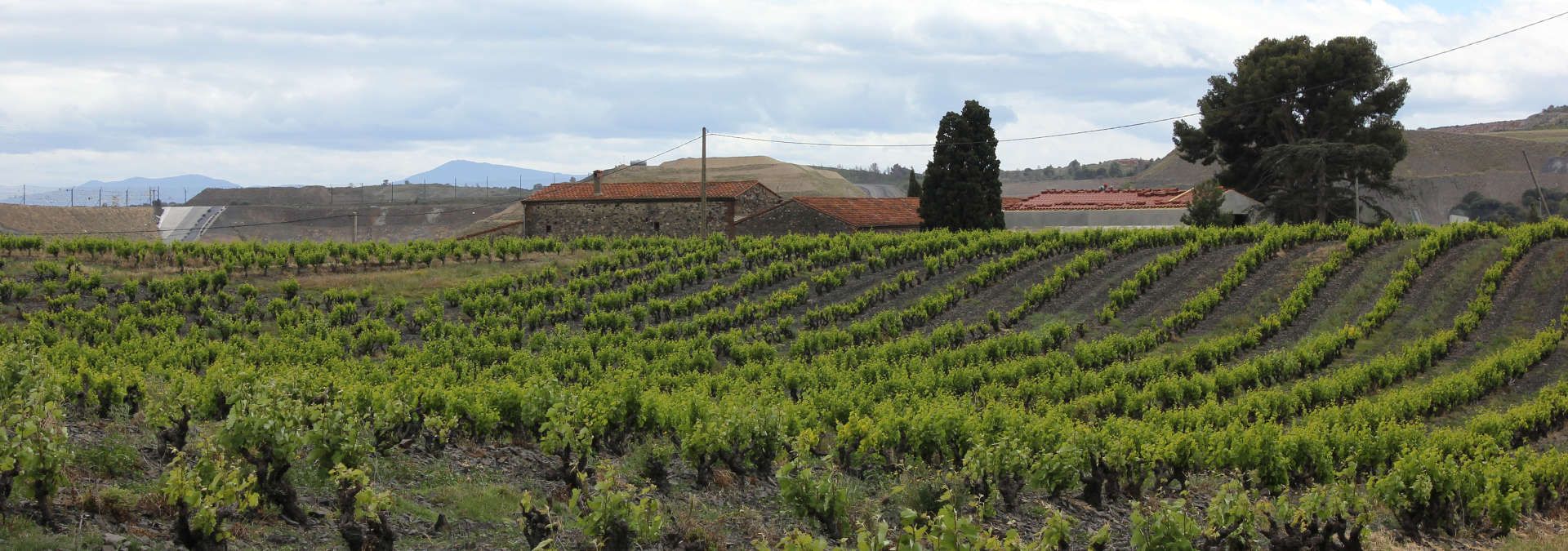 Mas Cremat - Rue des Vignerons