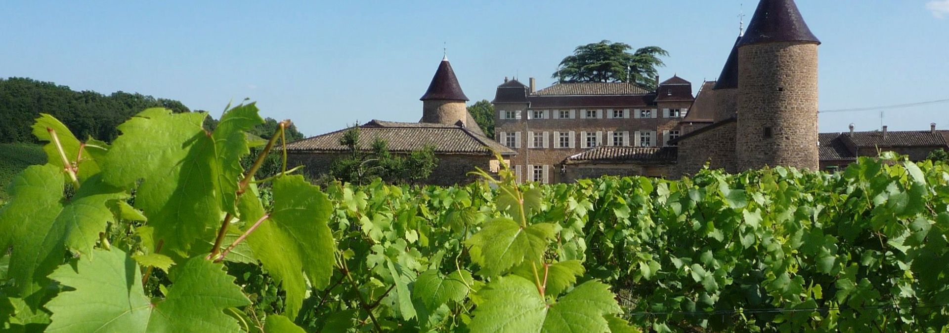 Château de Chasselas - Rue des Vignerons