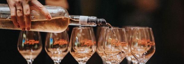 Guided tasting-photo