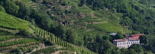 Domaine de Corps de Loup photo