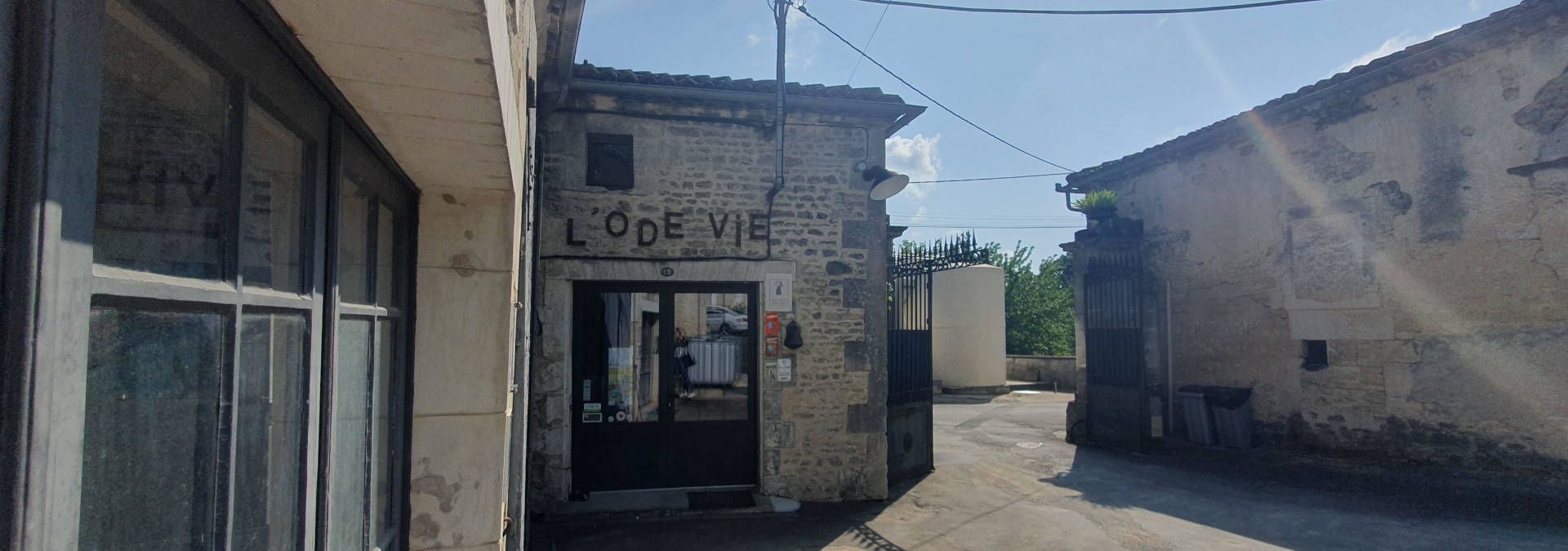 Vineyard Pelletant - Rue des Vignerons