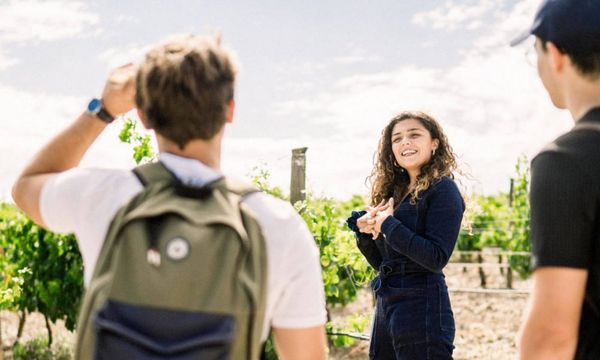 Visite privée & dégustation de 4 vins-photo