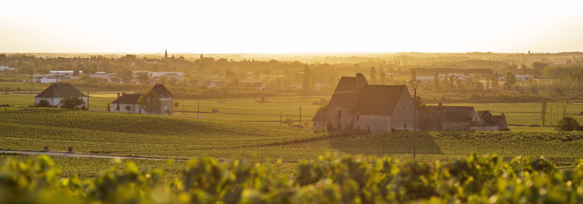 Domaine Olivier Leflaive - Rue des Vignerons